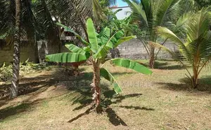 Prime Land for Sale in Galle