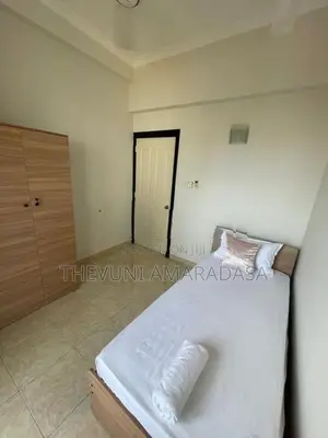 3 Bed Room Fully Furnished Apartment Rent in Colombo 6