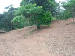 Land for Sale in Nilella Keppetipola