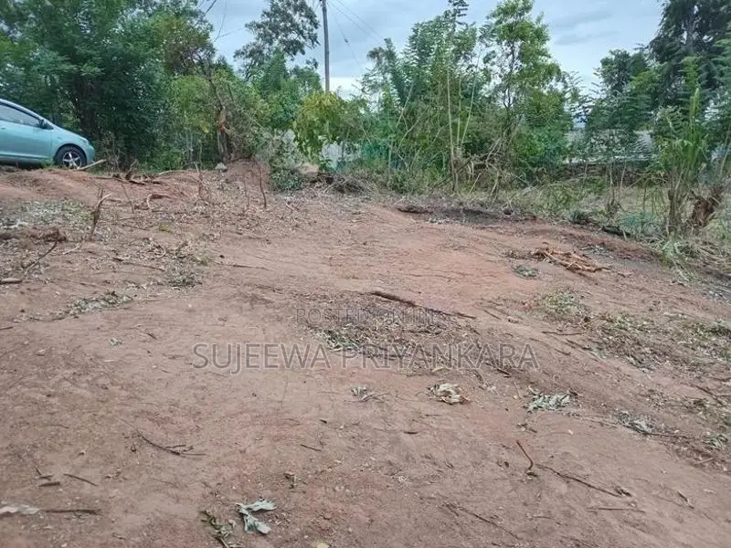 Land for Sale in Nilella Keppetipola