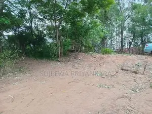 Land for Sale in Nilella Keppetipola