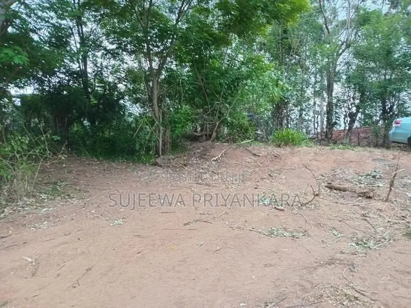 Land for Sale in Nilella Keppetipola