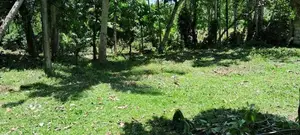 Land For Sale In Ahangama