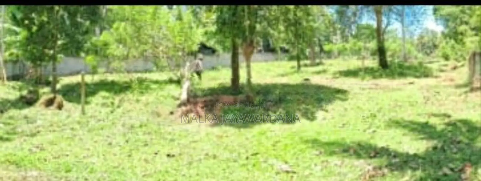 Land For Sale In Ahangama