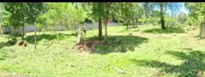 Land For Sale In Ahangama