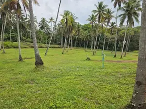 Land for Sale in Polgahawela - HB03