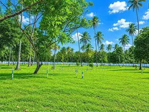 Main Road Facing Land for Sale Mellawagedara - H 01