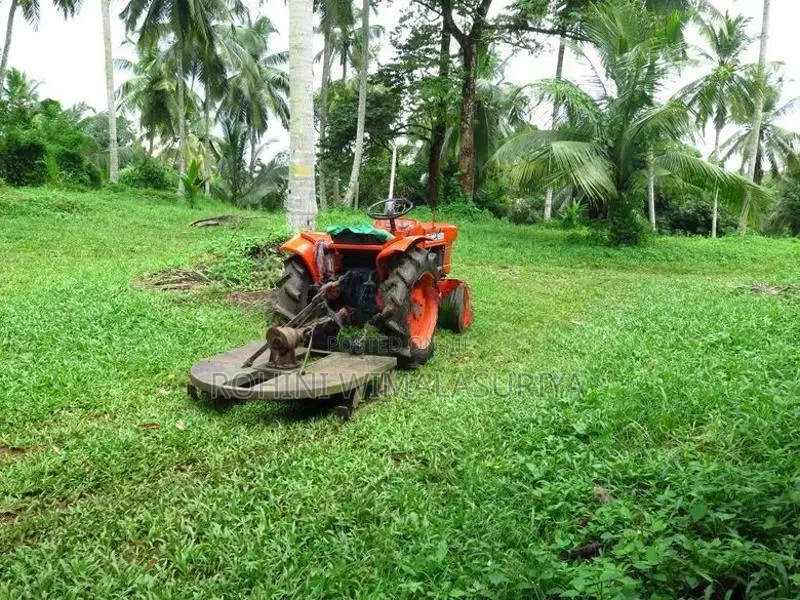 Land For Sale Gampaha