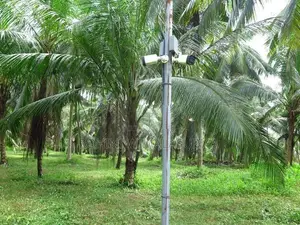 Land For Sale Gampaha