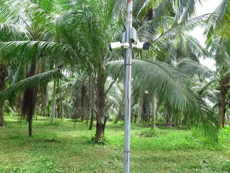 Land For Sale Gampaha