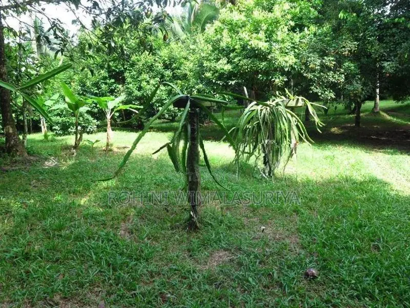 Land For Sale Gampaha