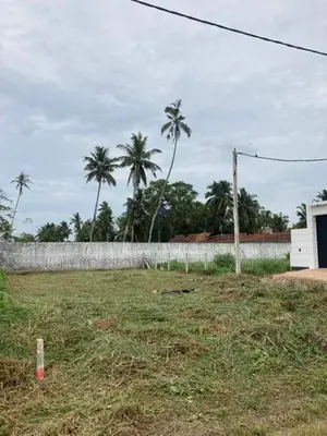 Bare Land for Sale in Negombo