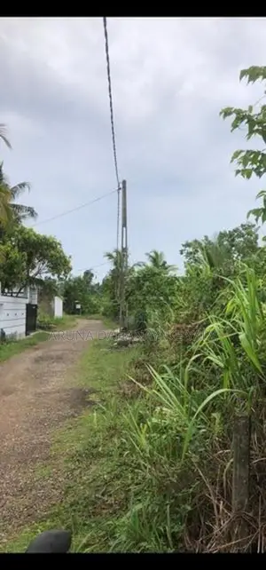 Land for Sale - Watareka
