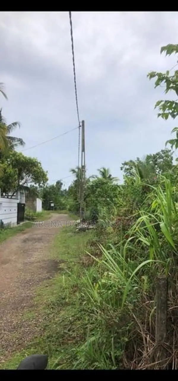 Land for Sale - Watareka