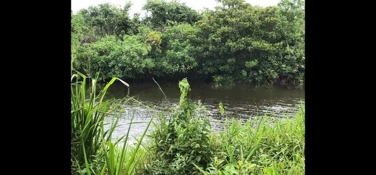 Land for Sale - Watareka