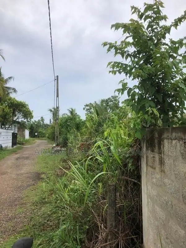 Land for Sale - Watareka