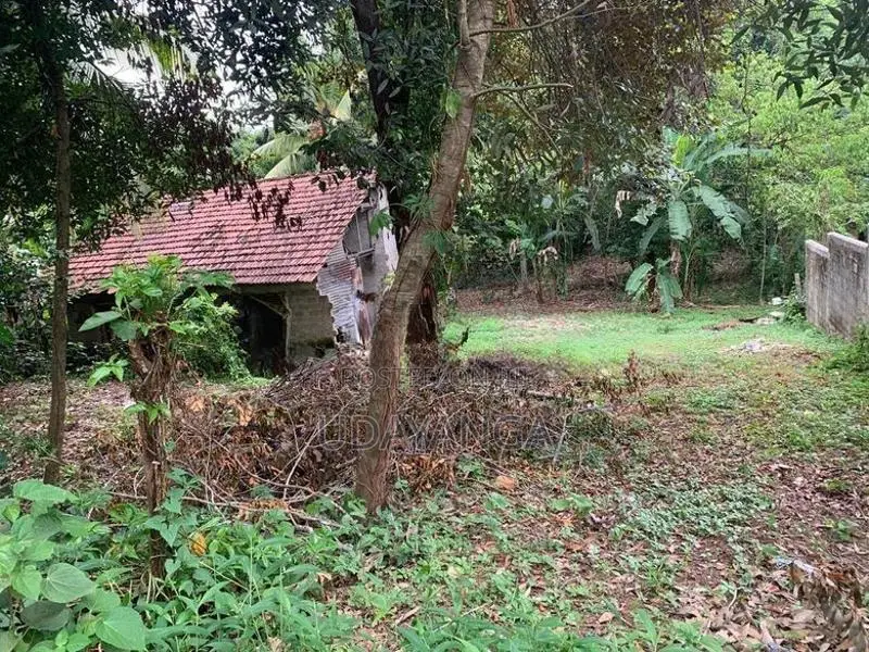 Residential Land for Sale. නේවාසික ඉඩමක් විකිණීමට Ragama.