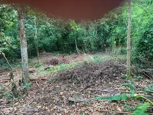 Residential Land for Sale. නේවාසික ඉඩමක් විකිණීමට Ragama.