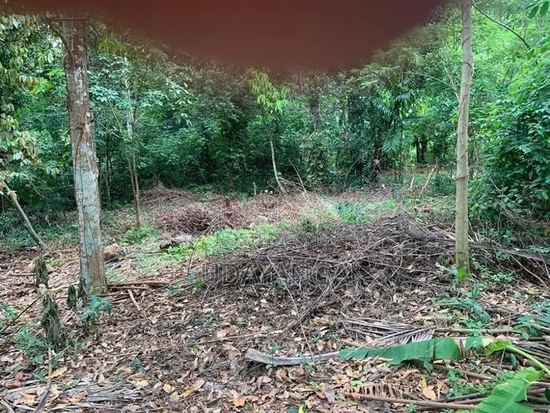 Residential Land for Sale. නේවාසික ඉඩමක් විකිණීමට Ragama.