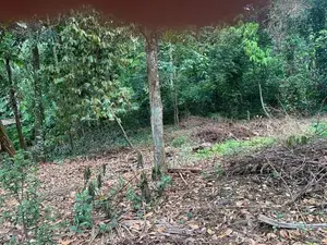 Residential Land for Sale. නේවාසික ඉඩමක් විකිණීමට Ragama.