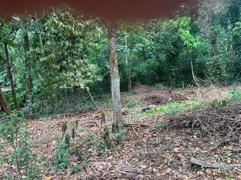 Residential Land for Sale. නේවාසික ඉඩමක් විකිණීමට Ragama.
