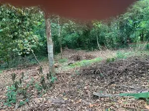 Residential Land for Sale. නේවාසික ඉඩමක් විකිණීමට Ragama.