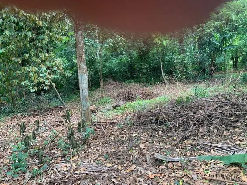 Residential Land for Sale. නේවාසික ඉඩමක් විකිණීමට Ragama.