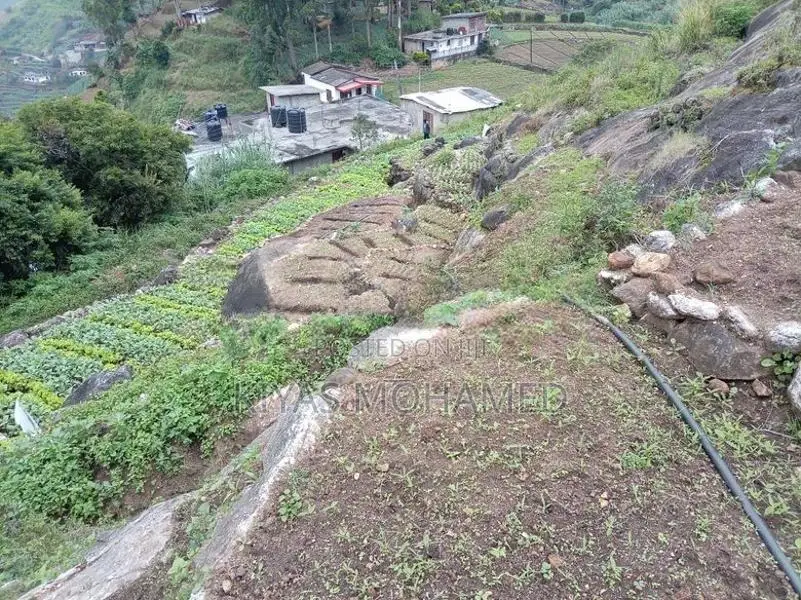 Land for Sale Nuwera Eliya