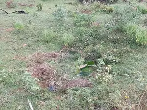 Land for Sale - Kilinochi