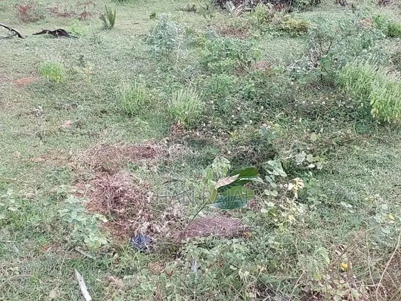 Land for Sale - Kilinochi