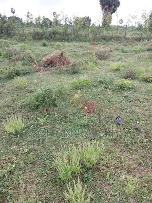 Land for Sale - Kilinochi