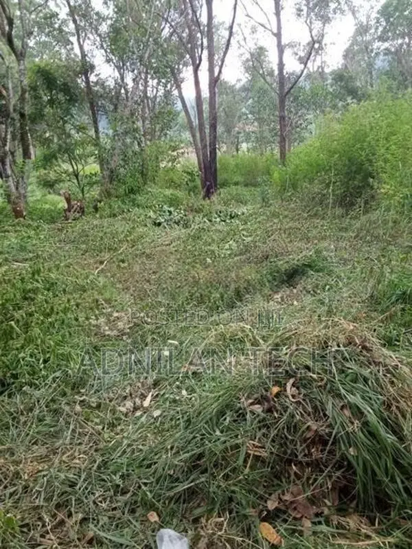 Welimada - Boralanda 1 acres Agriculture Land for Sale