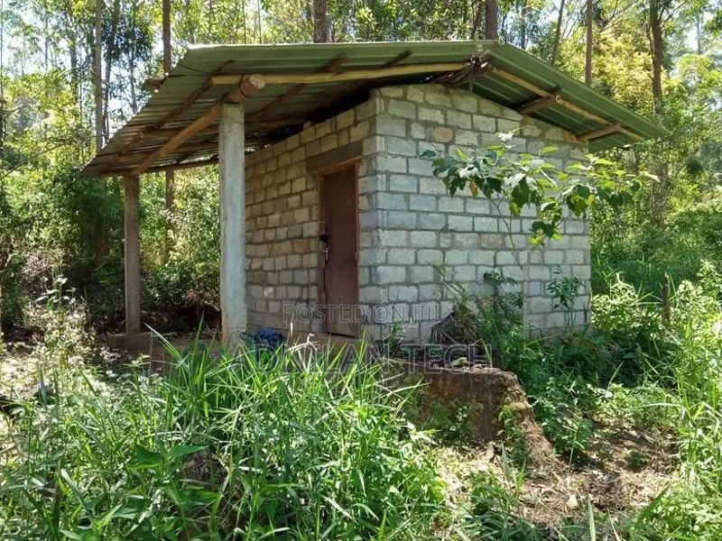 Welimada - Boralanda 1 acres Agriculture Land for Sale