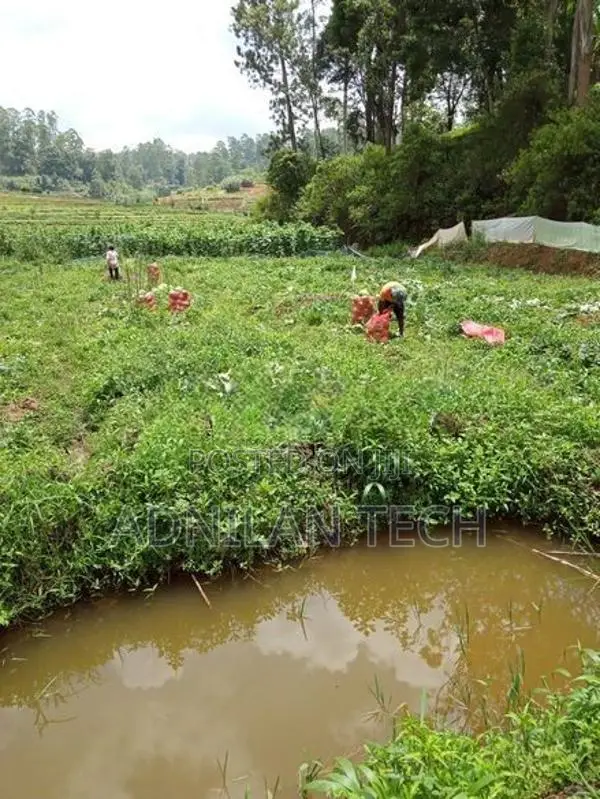 Welimada - Boralanda 1 acres Agriculture Land for Sale