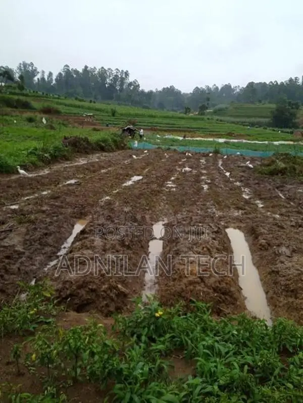 Welimada - Boralanda 1 acres Agriculture Land for Sale