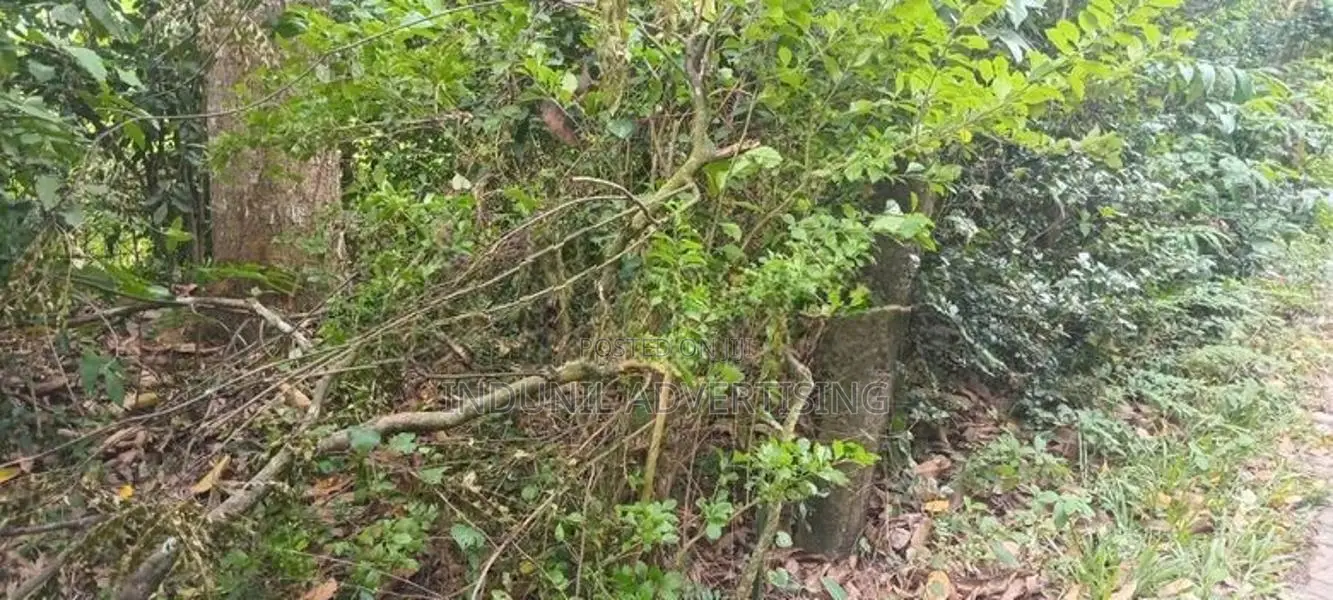 නිවසක් විකිණිමට බෙලිඅත්ත
