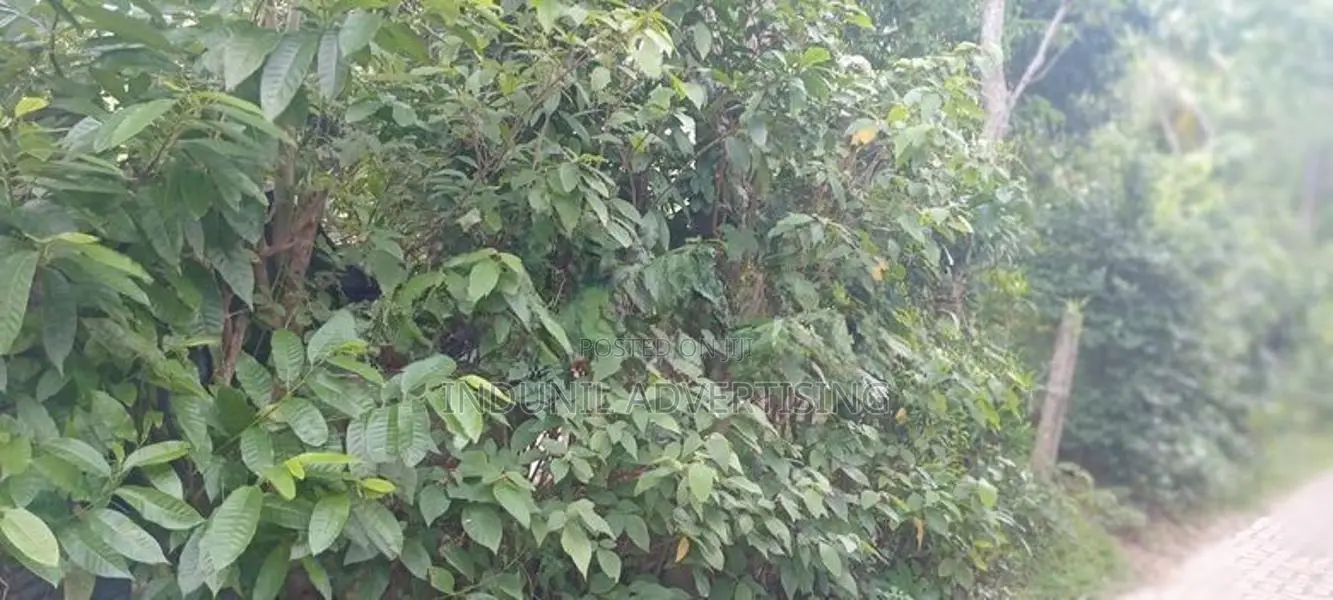 නිවසක් විකිණිමට බෙලිඅත්ත