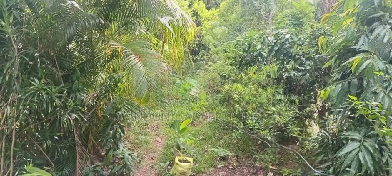 නිවසක් විකිණිමට බෙලිඅත්ත