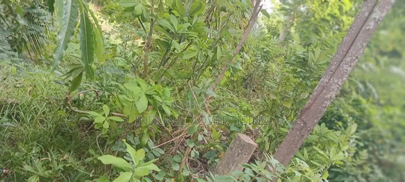 නිවසක් විකිණිමට බෙලිඅත්ත