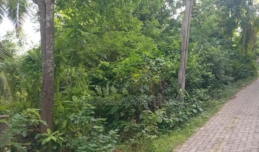 නිවසක් විකිණිමට බෙලිඅත්ත