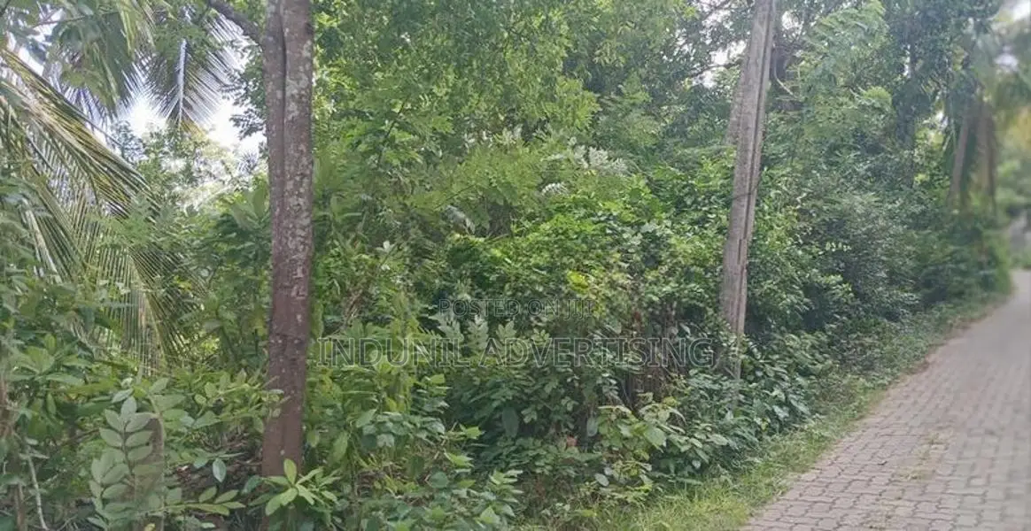නිවසක් විකිණිමට බෙලිඅත්ත