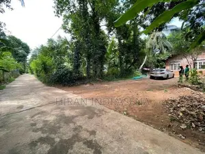 Land for Sale with House Bibile