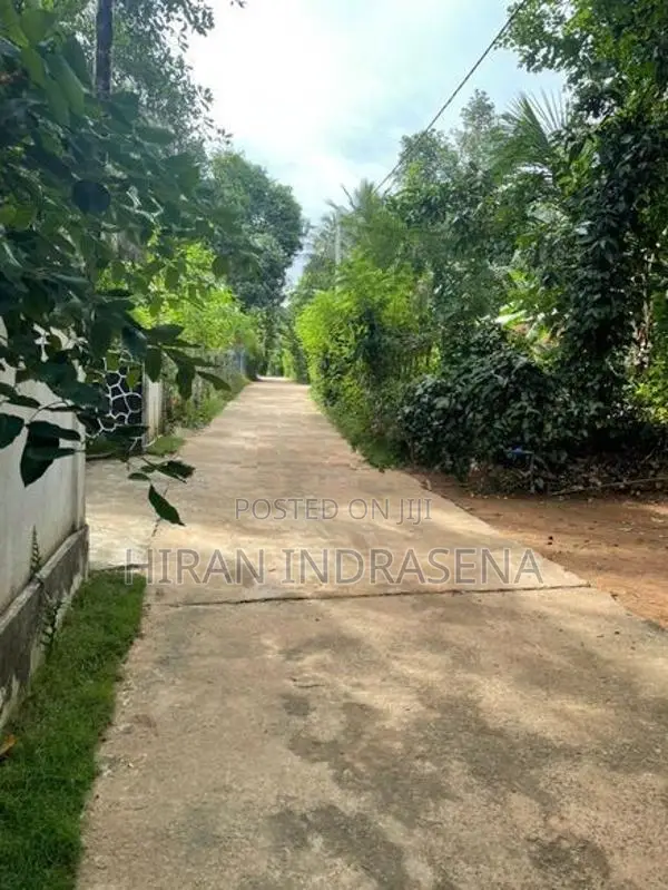 Land for Sale with House Bibile