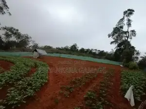 Land for Sale in Keppetipola