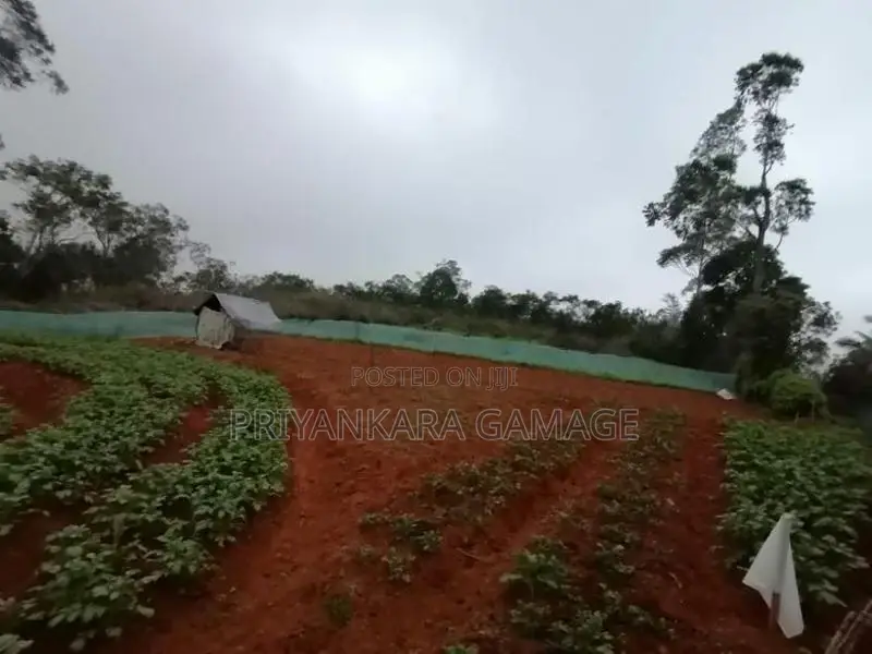 Land for Sale in Keppetipola