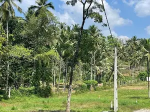 Prime 4 Acre 30 Perch Commercial Land for Sale – Watareka, Padukka