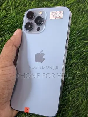 Apple iPhone 13 Pro Max (Used)