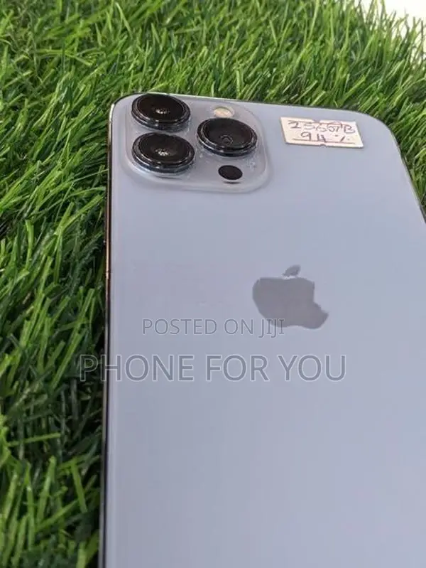 Apple iPhone 13 Pro Max (Used)