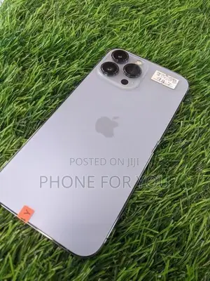 Apple iPhone 13 Pro Max (Used)