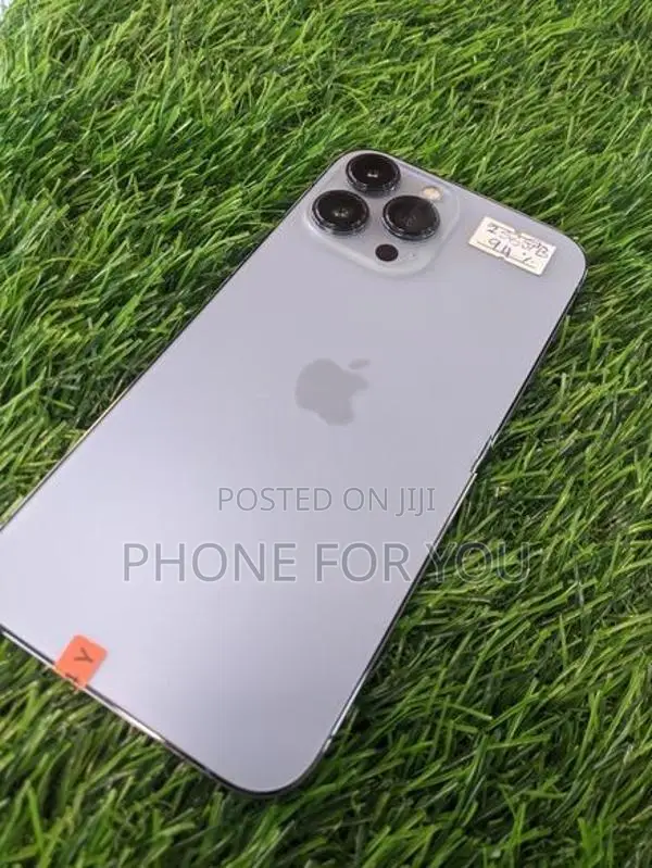 Apple iPhone 13 Pro Max (Used)